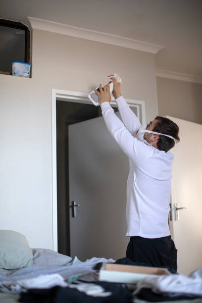 Best Asbestos and Lead Testing During Mold Inspection  in Knoxvle, IL