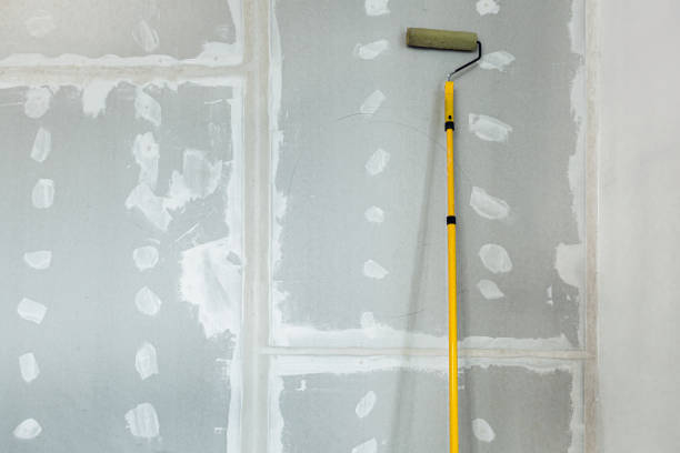 Best Emergency Mold Remediation  in Knoxvle, IL