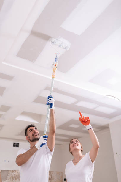 Best HVAC Mold Inspection and Cleaning  in Knoxvle, IL