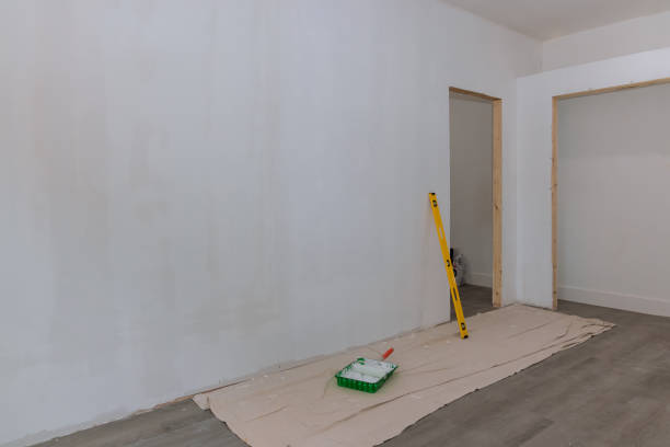 Best Real Estate Mold Inspection  in Knoxvle, IL