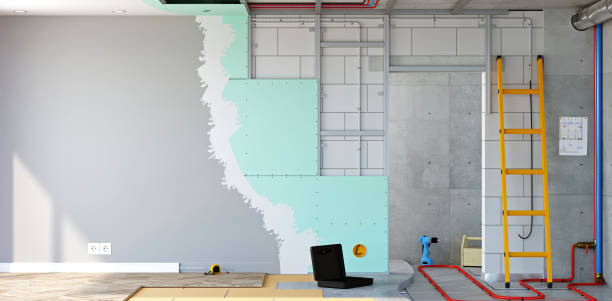 Best Real Estate Mold Inspection  in Knoxvle, IL