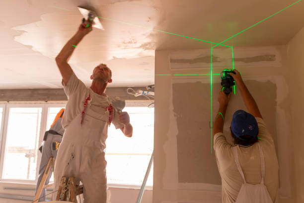 Best Black Mold Removal  in Knoxvle, IL