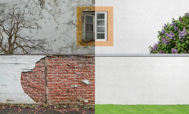 Best Post-Construction Mold Inspection  in Knoxvle, IL
