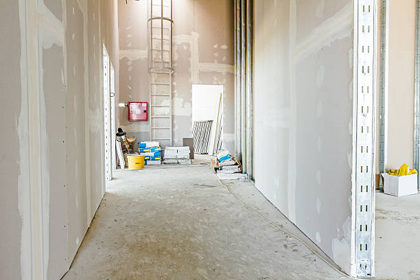 Asbestos and Lead Testing During Mold Inspection in Knoxville, IL