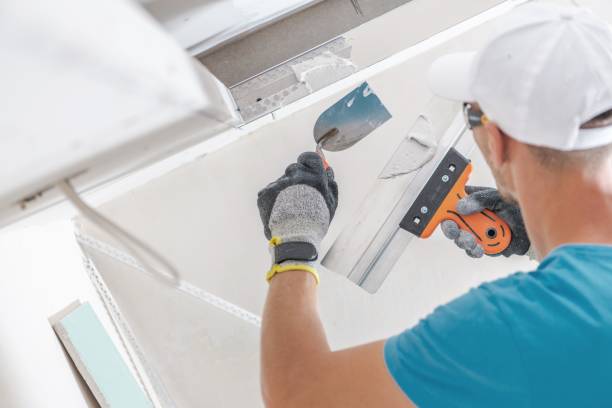 Best Mold Remediation for Healthcare Facilities  in Knoxvle, IL